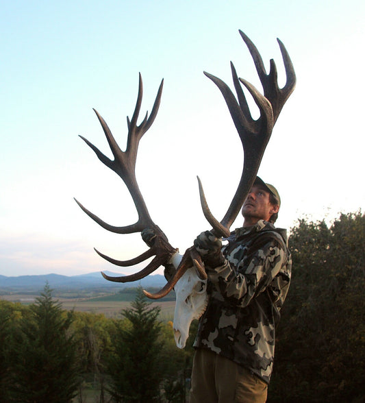 The Silent Stag – A Once-in-a-Lifetime Red Stag Hunt